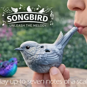 Songbird - unleash the melody